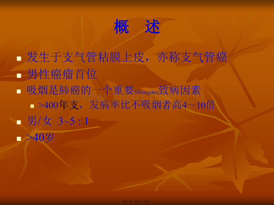 肺癌+.ppt_第2页