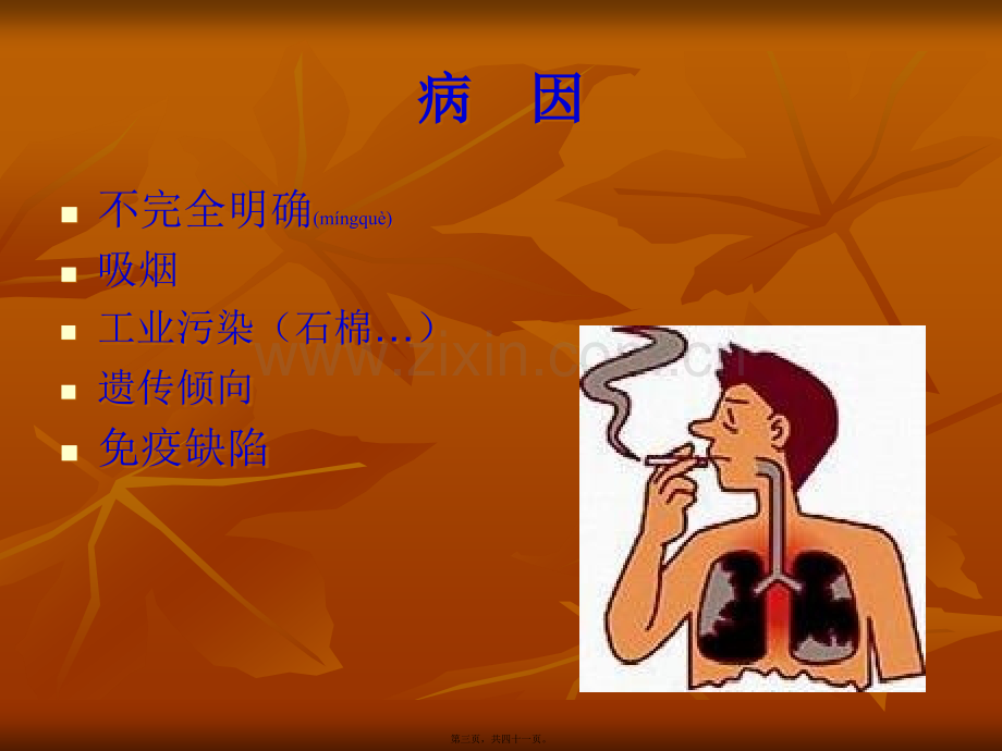 肺癌+.ppt_第3页