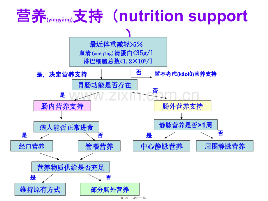 肠内和肠外营养(新).ppt_第3页