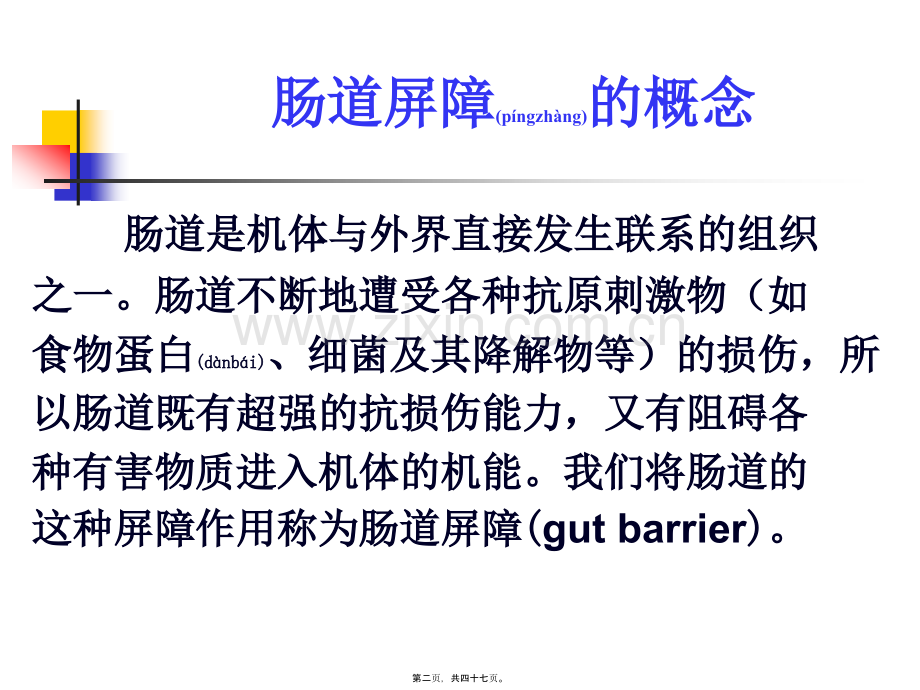 肠道屏障功能障碍.ppt_第2页