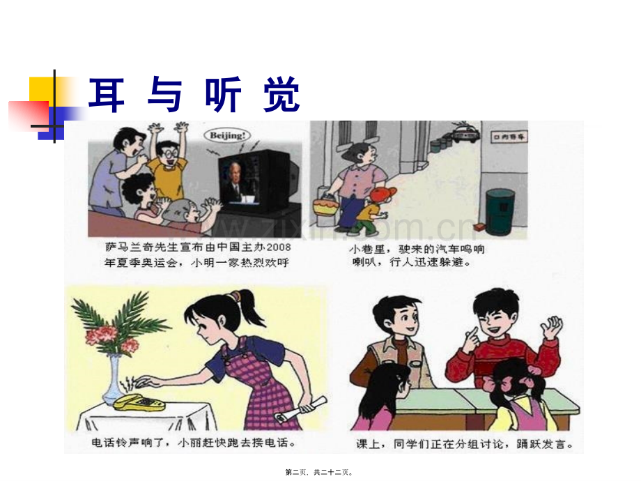 耳朵的结构及功能概况.ppt_第2页