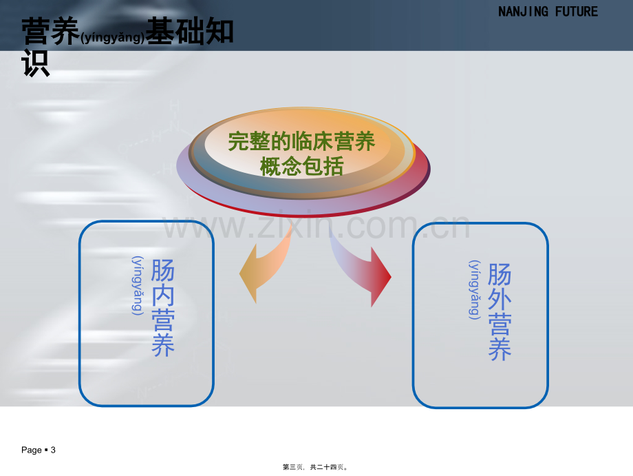 肠管(鼻肠管).ppt_第3页