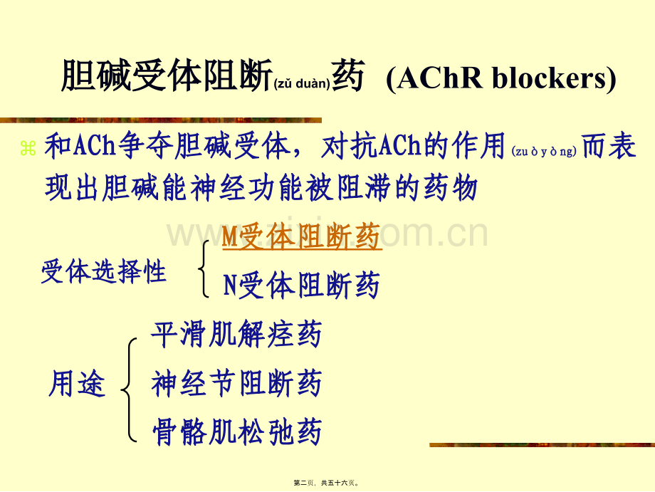 胆碱受体阻断药2010-1.ppt_第2页