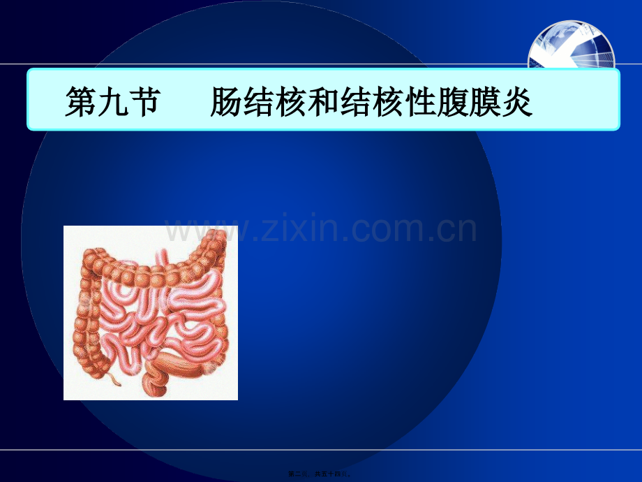 学术讨论—肠结核和结核性腹膜炎-(6)详解.ppt_第2页