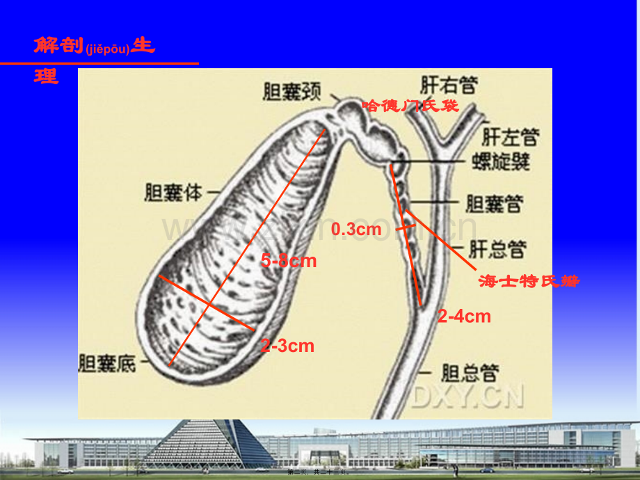 胆道感染及胆石症.ppt_第2页