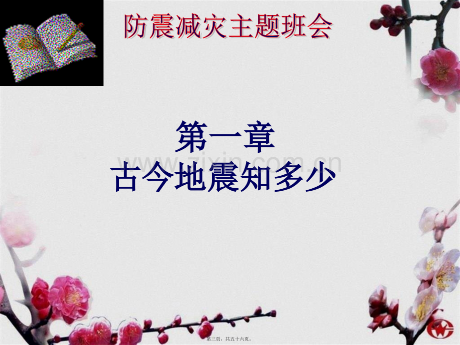 防震减灾主题班会ppt.ppt_第3页