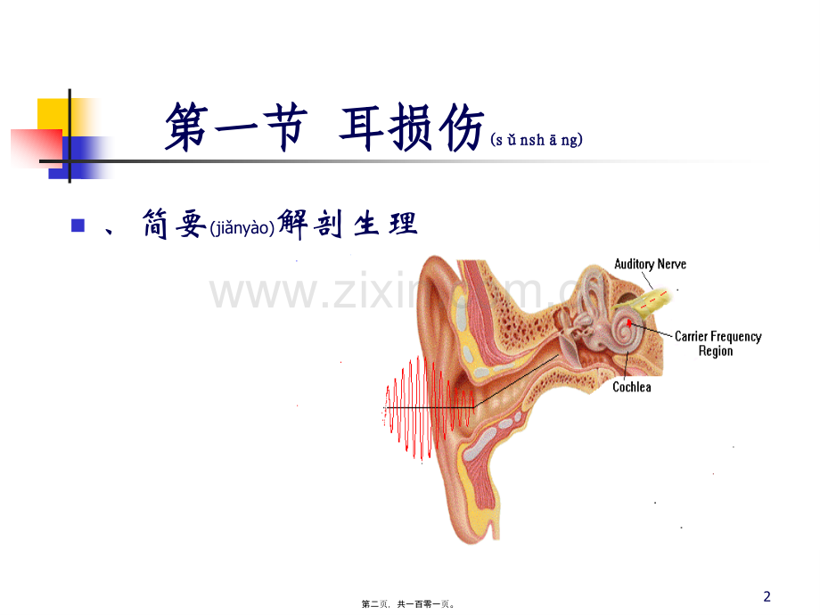 耳、鼻、咽喉损伤.ppt_第2页