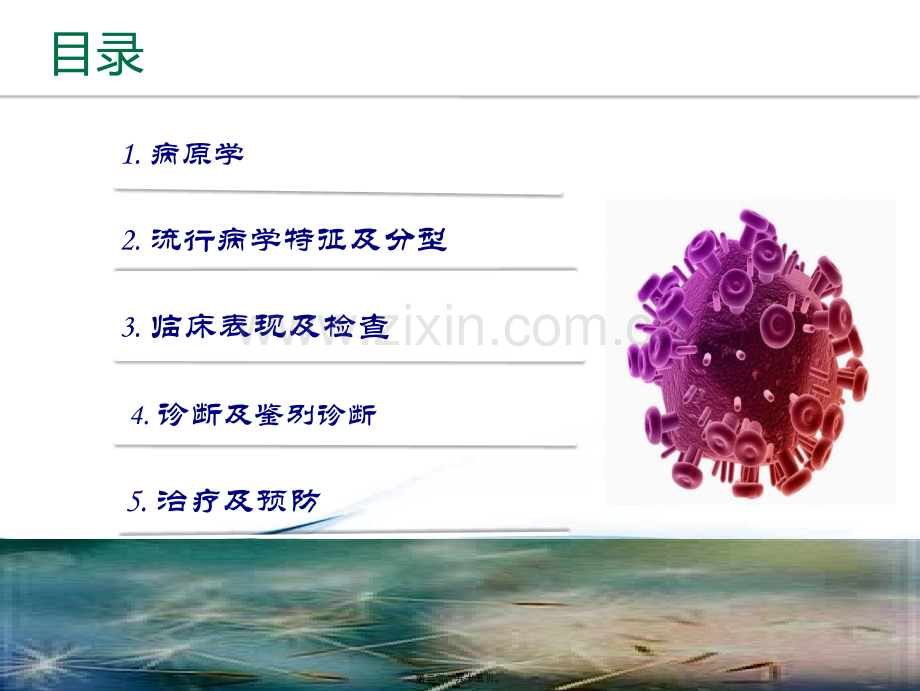 儿科流感PPT.ppt_第1页