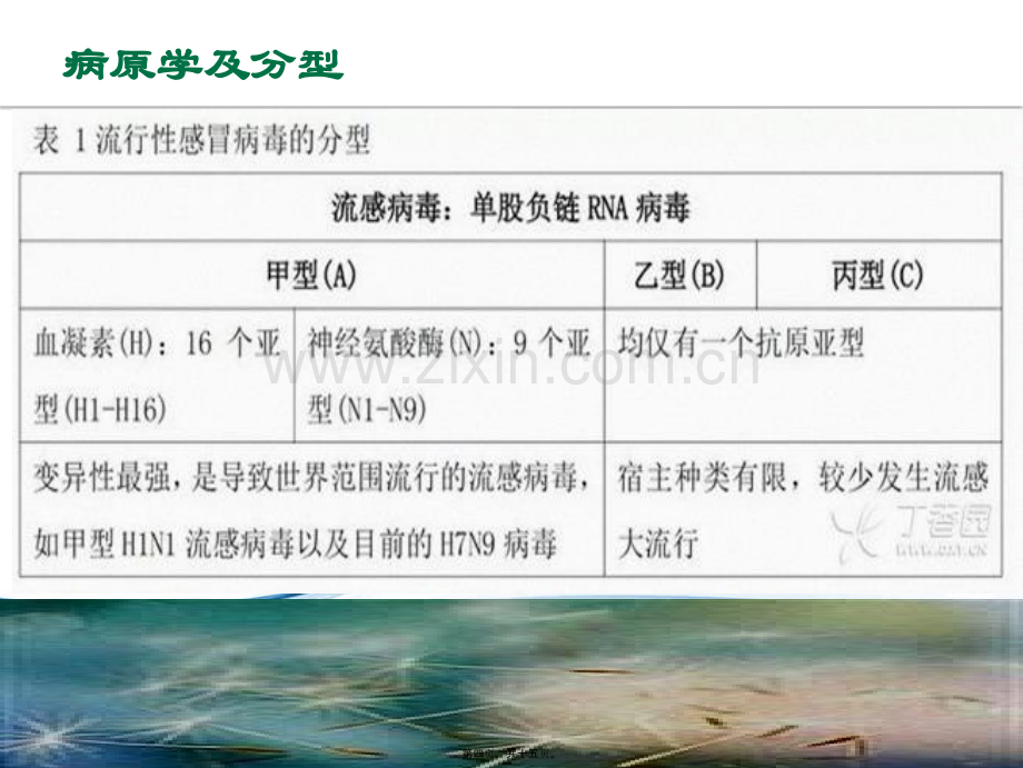 儿科流感PPT.ppt_第3页