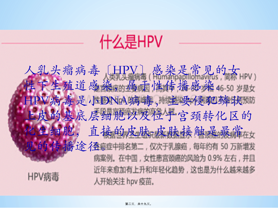 宫颈癌疫苗与HPV.ppt_第2页