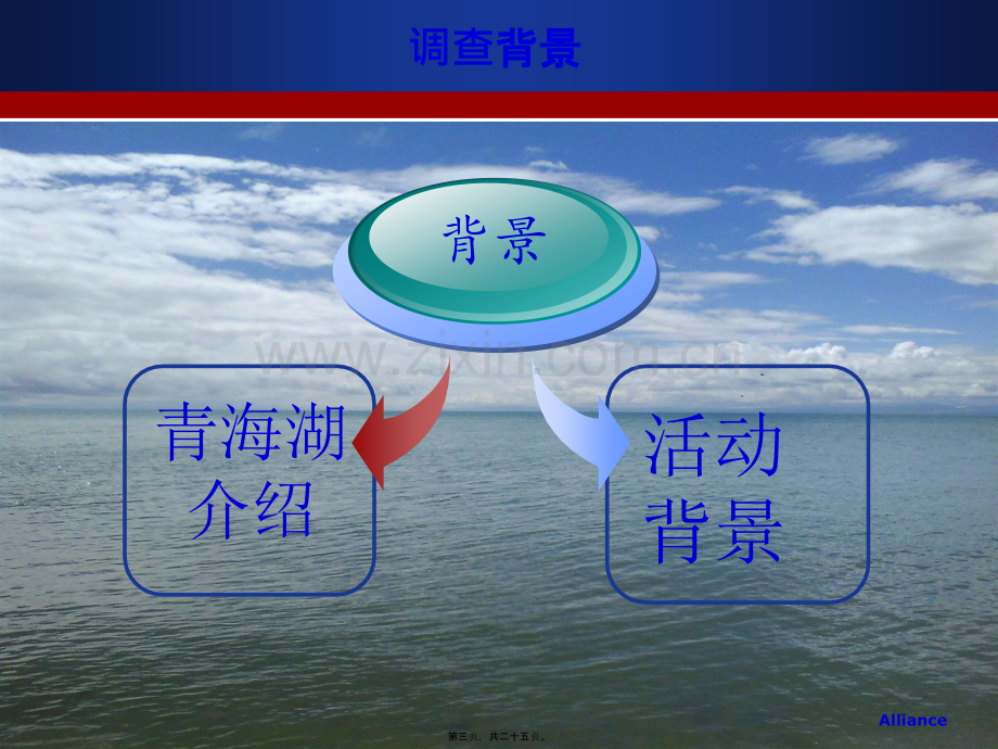 关于青海湖湿地面积变化的原因调查.ppt_第3页