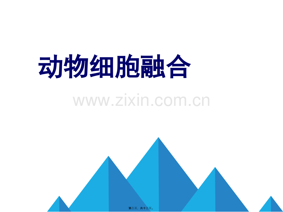 动物细胞融合.ppt_第2页