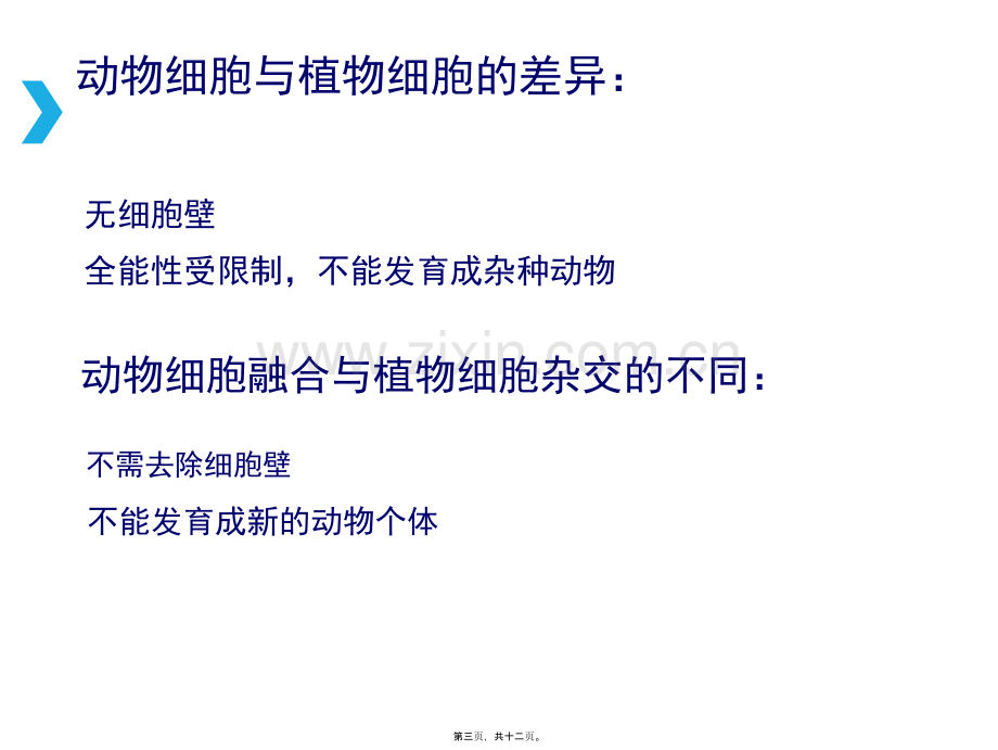 动物细胞融合.ppt_第3页