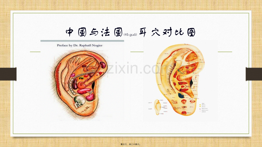 耳穴-修改版.pptx_第3页