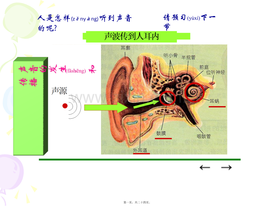 耳的结构与听觉的形成(第一课时).ppt_第1页