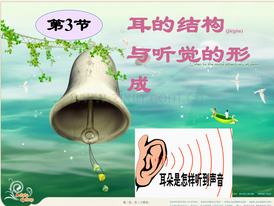 耳的结构与听觉的形成(第一课时).ppt_第2页