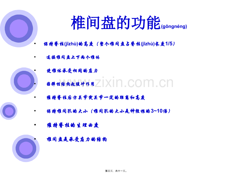 学术讨论—腰椎间盘突出症的原因与手术入口(1).ppt_第3页