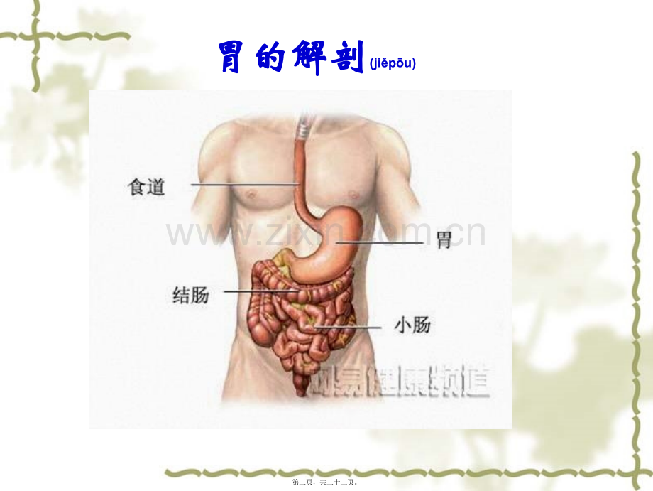 腹腔镜胃癌根治术介绍.ppt_第3页