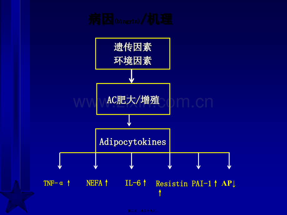 脂肪与胰岛素抵抗新概念(修改).ppt_第2页