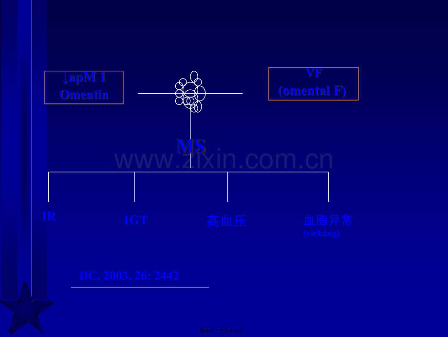 脂肪与胰岛素抵抗新概念(修改).ppt_第3页