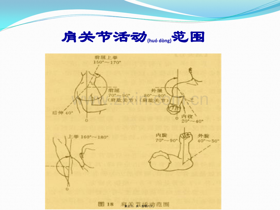 肩-上臂部伤筋3.ppt_第3页