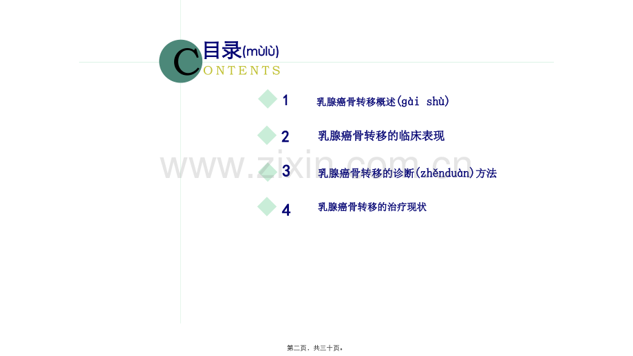 乳腺癌骨转移.pptx_第2页