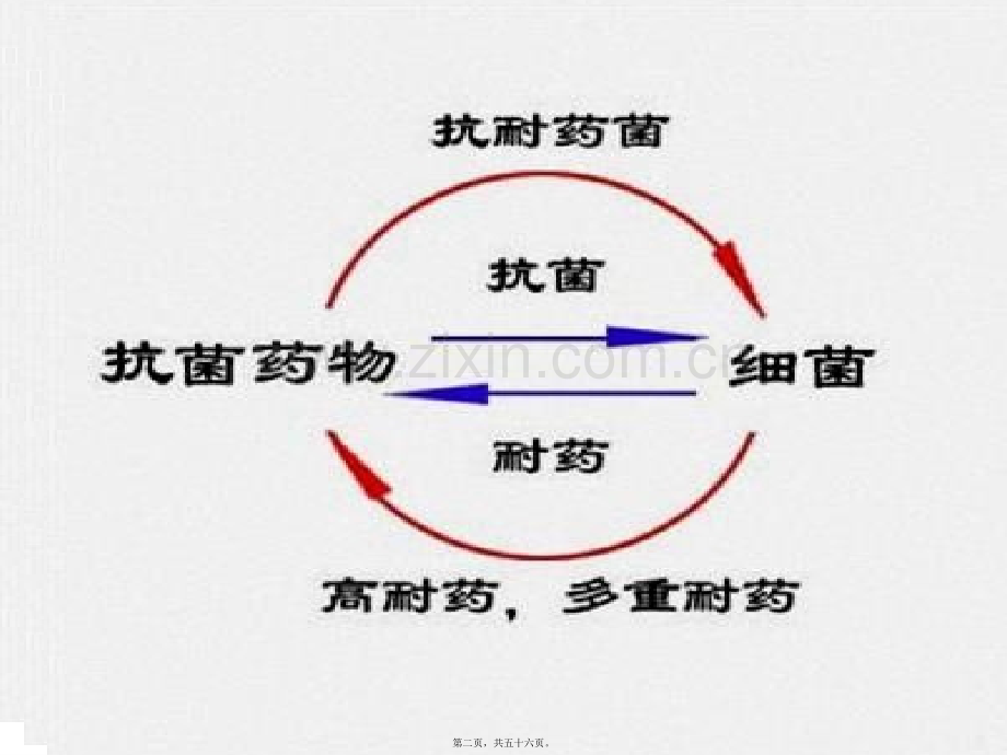 学术讨论—万古霉素耐药的肠球菌VRE.ppt_第2页