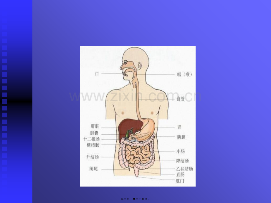 学术讨论—上消化道出血讲课.ppt_第2页