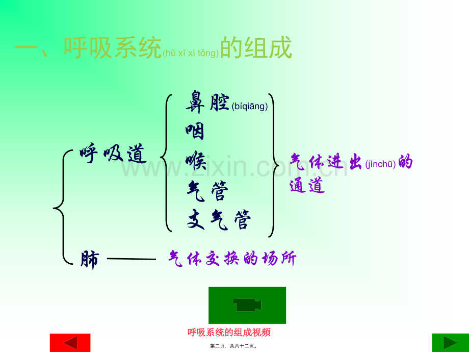 人体与外界的气体交换-济南板2012.2.26.ppt_第2页