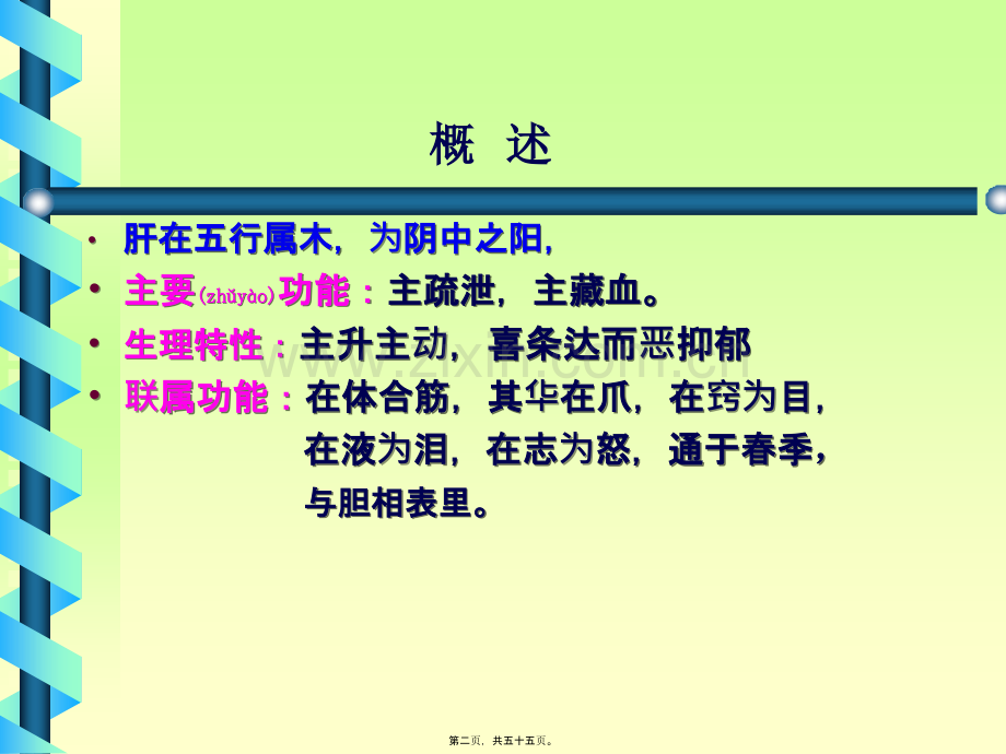 肝PPT.ppt_第2页