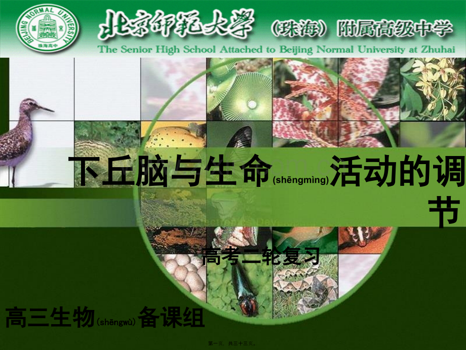 下丘脑与生命活动的调节.ppt_第1页