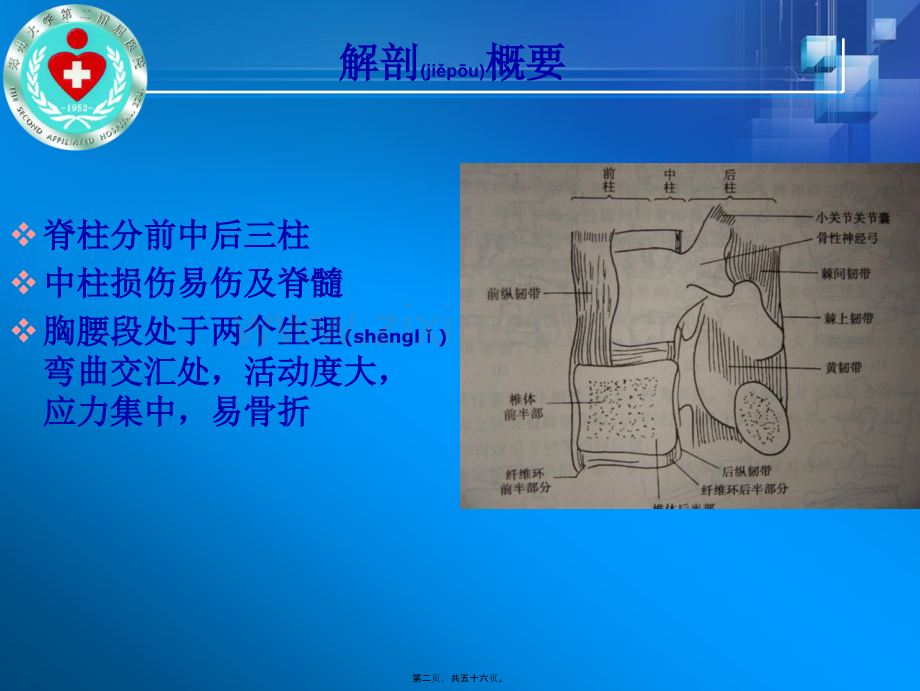 脊柱骨折和脊髓损伤1.ppt_第2页