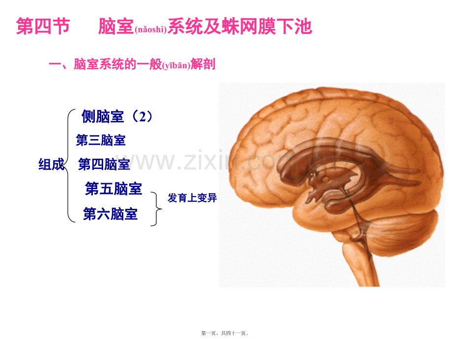 脑室、蝶鞍区.ppt_第1页