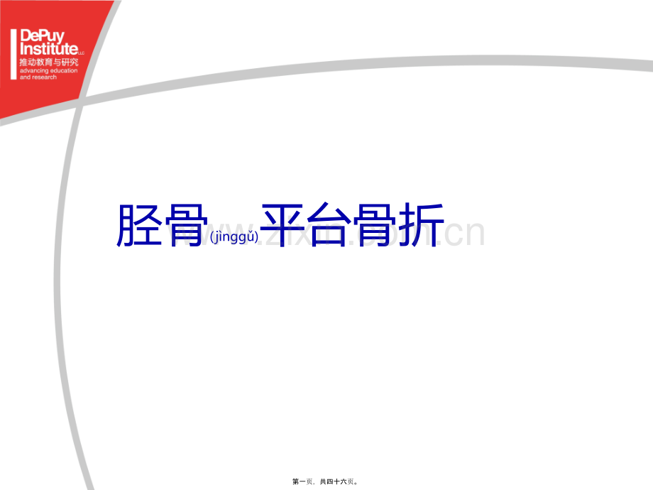 胫骨平台骨折(Depuy).ppt_第1页