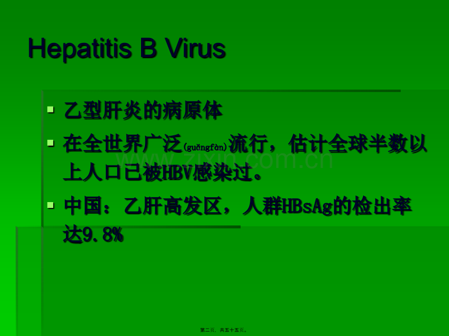 PCR技术在乙肝方面的应用.ppt_第2页