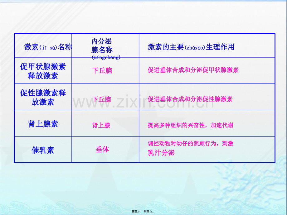 人体内的一些主要激素及其生理作用.ppt_第3页