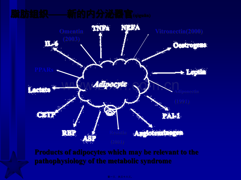 脂肪与胰岛素抵抗新概念修改.ppt_第1页