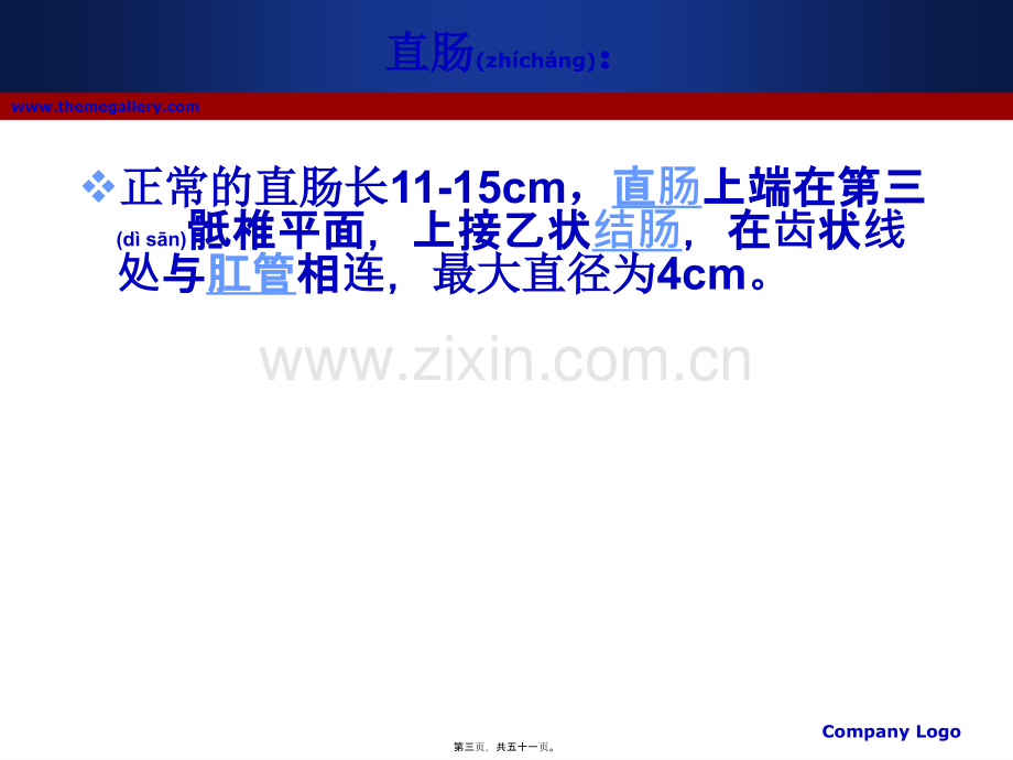 肛管内超声检查肛周脓肿和肛瘘.pptx_第3页