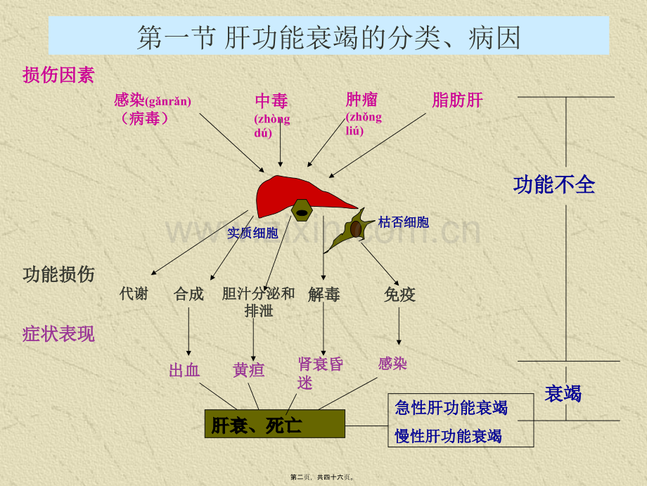 肝功能衰竭.ppt_第2页