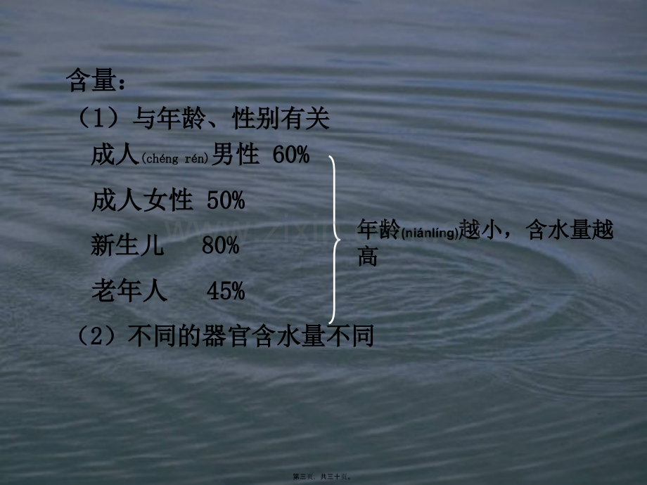 人体对水的需要.ppt_第3页