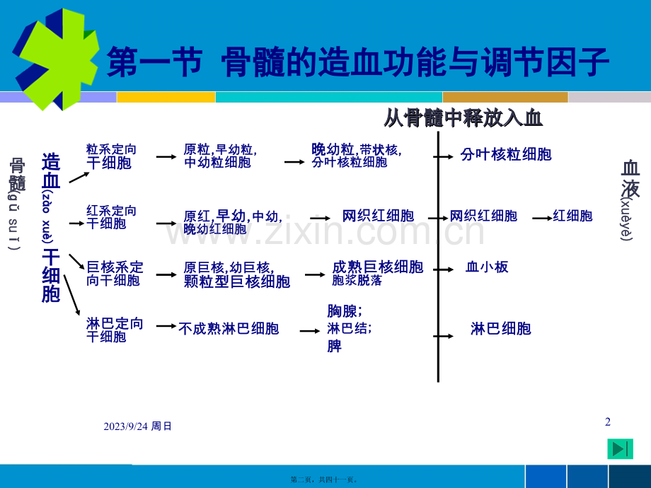 血液毒理.ppt_第2页