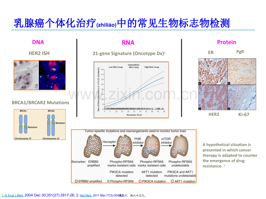 胃癌免疫组化标记物介绍.ppt_第3页