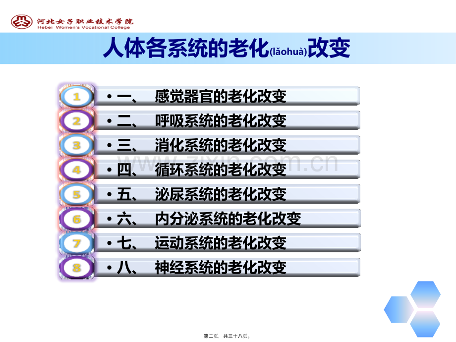 人体各系统的老化改变.pptx_第2页