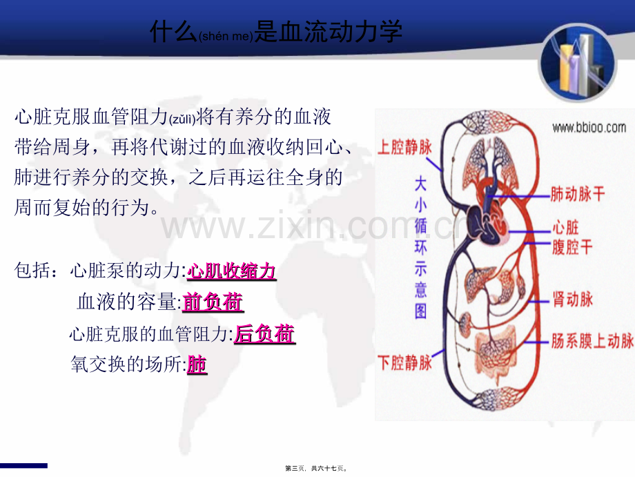 PiCCO在重症患者中的应用.ppt_第3页