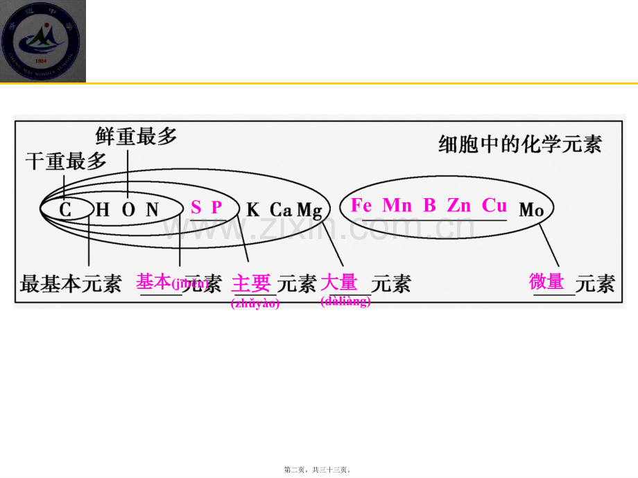 一轮复习组成细胞的元素及无机化合物概述.ppt_第2页