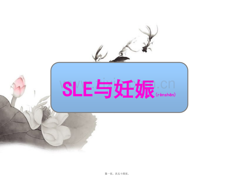 SLE与妊娠-(1).ppt_第1页