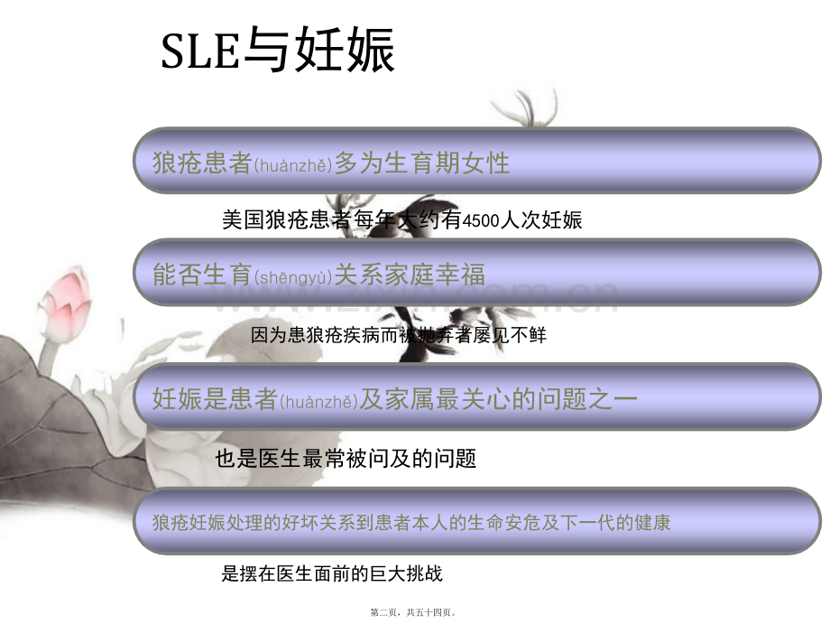 SLE与妊娠-(1).ppt_第2页