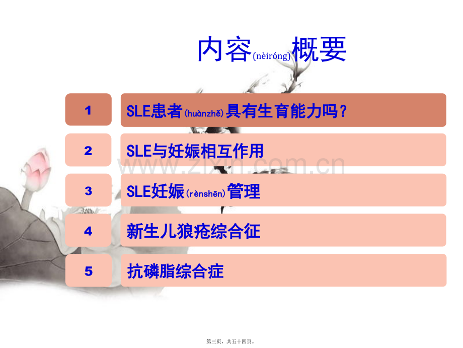 SLE与妊娠-(1).ppt_第3页