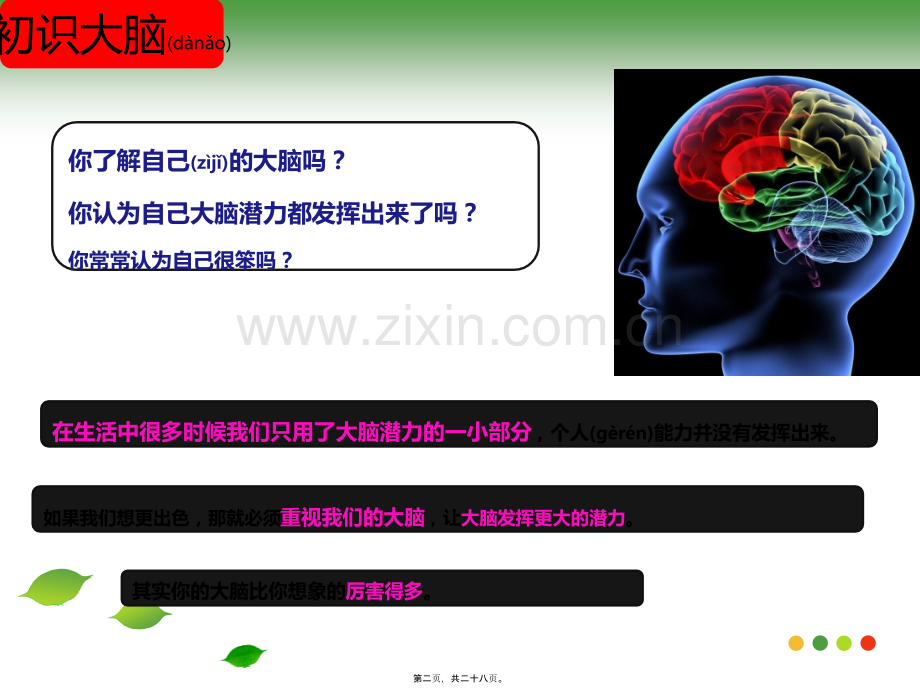 脑图介绍及原理.ppt_第2页