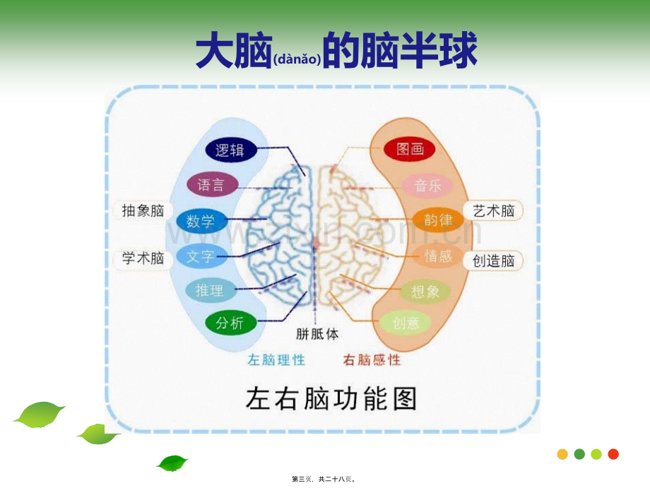 脑图介绍及原理.ppt_第3页